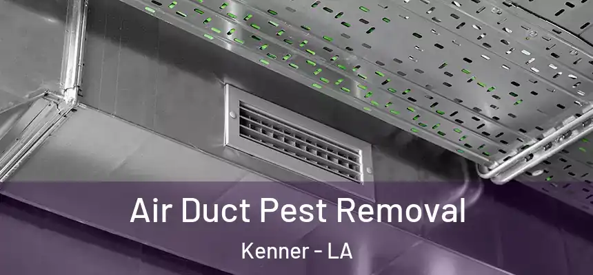 Air Duct Pest Removal Kenner - LA