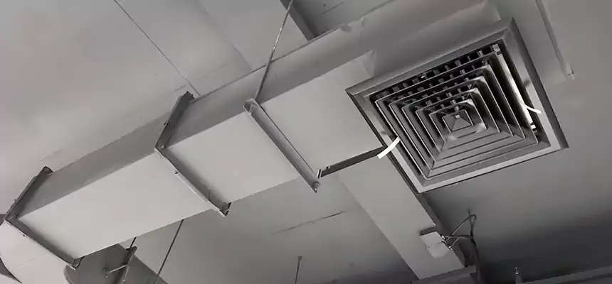 Restorative Allergy Relief Vent Cleaning – Coil, Blower & Housing Detail in Kenner