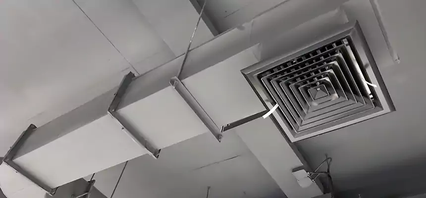 Our Pest Removal From Ducts Services in Kenner, LA