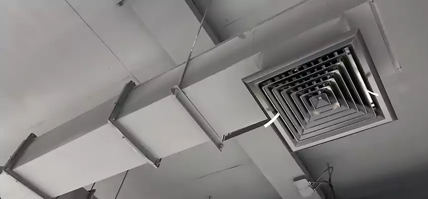 Our Rodent Droppings In Vents Services in Kenner, LA