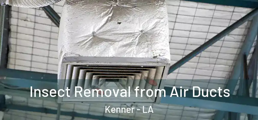  Insect Removal from Air Ducts Kenner - LA