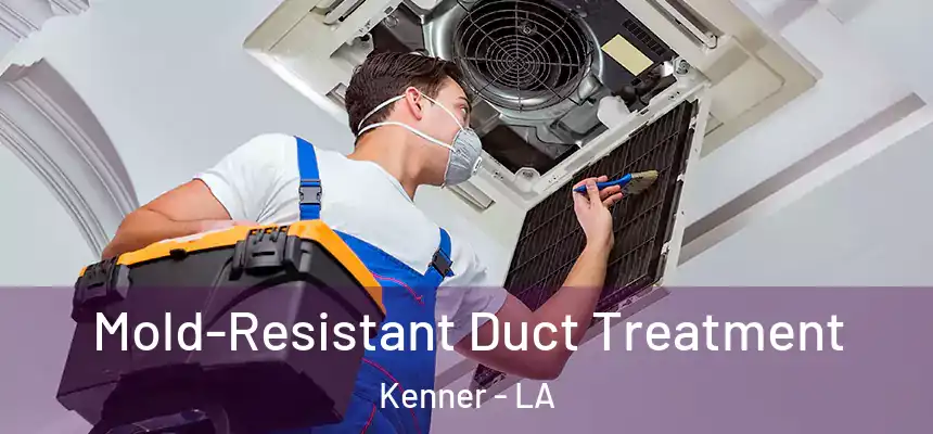 Mold-Resistant Duct Treatment Kenner - LA