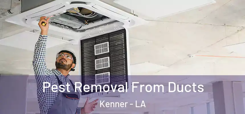 Pest Removal From Ducts Kenner - LA