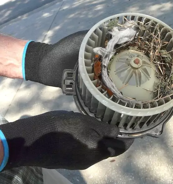 About Air Duct Mice Removal in Kenner, LA