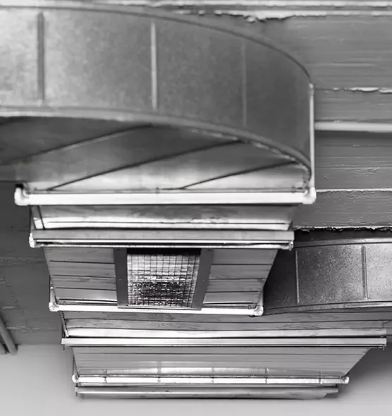 Professional Air Duct Pest Removal in Kenner, LA